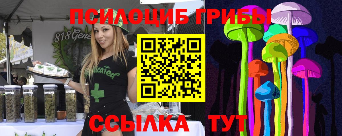 Владимир  Галлюциногенные грибы прущие грибы  Вход с VPN 